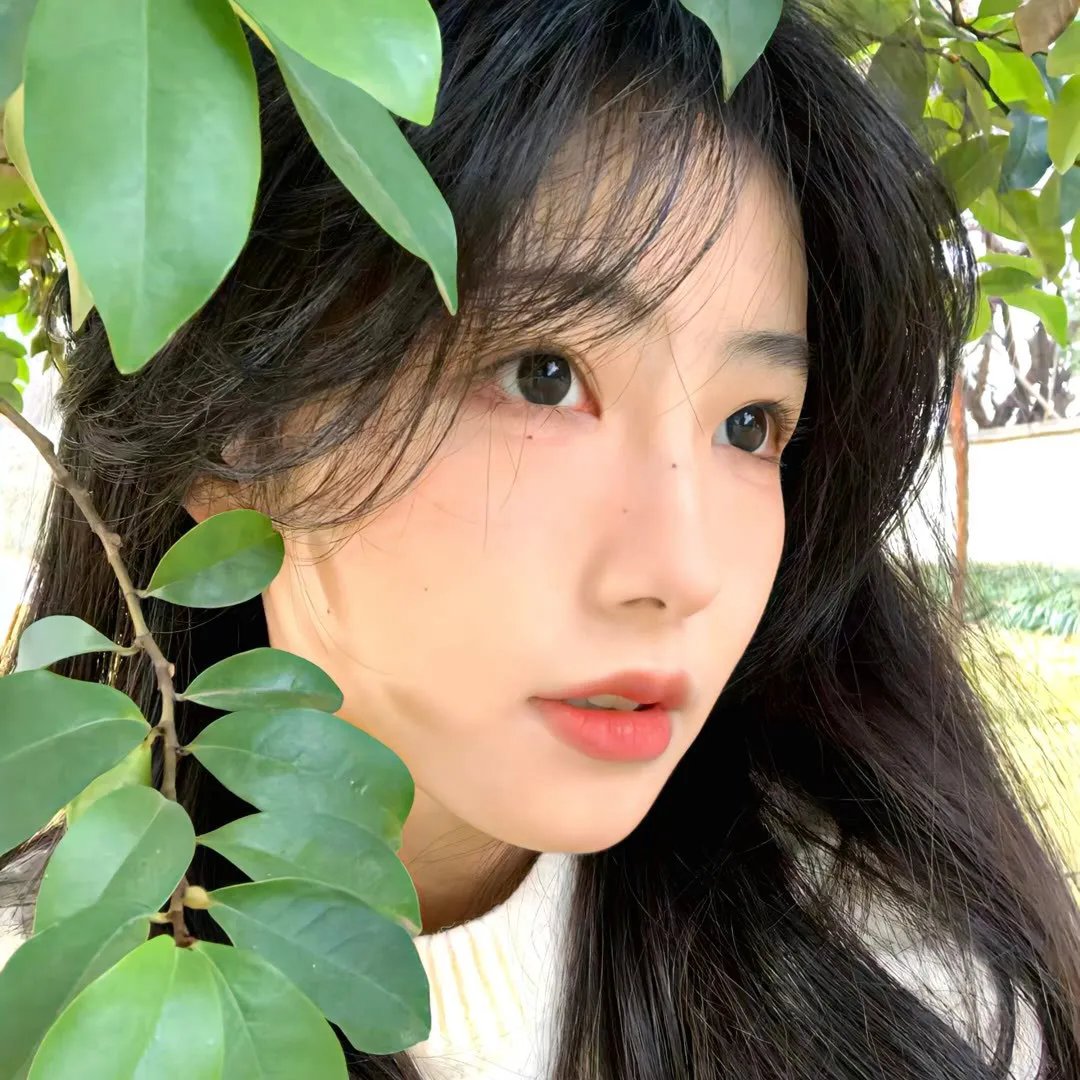 隔壁的女孩